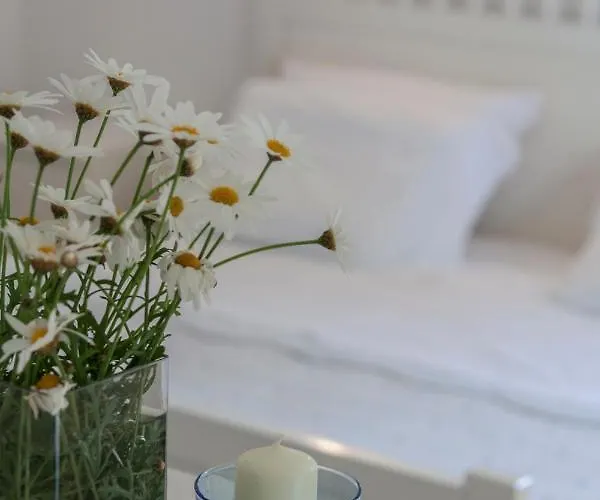 Suncana 2 アパート