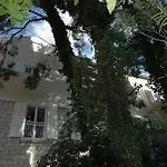 Suncana 2